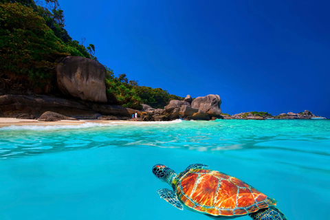 From Khao Lak: Similan Islands Snorkeling Trip with Lunch