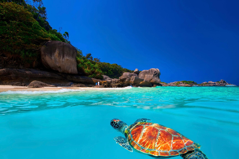 From Khao Lak: Similan Islands Snorkeling Trip with Lunch