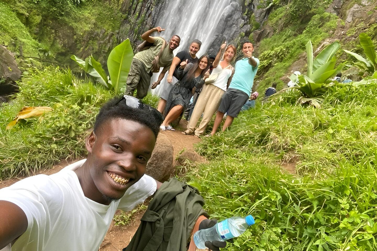 Cachoeiras de Materuni e excursão ao vilarejo do café com traslados