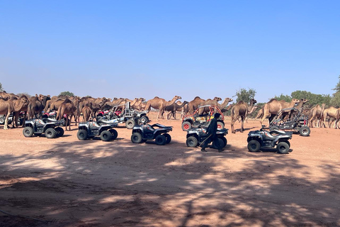 Agadir : 2 h d'excursion en quad avec thé marocainquad agadir