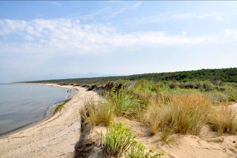 Pisa: Coastal boat tour with aperitif and lunch on board