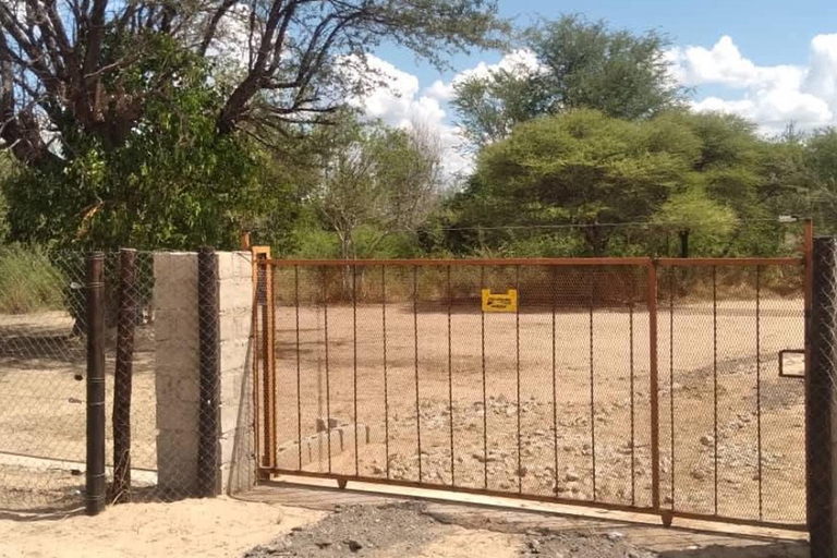 Shakawe: safari de 3 días por el este del OkavangoShakawe: Safari de 3 días por el este del Okavango