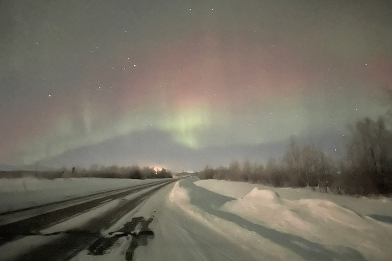 Excursion en minibus dans le parc national d'Abisko pour observer l'aurore boréale