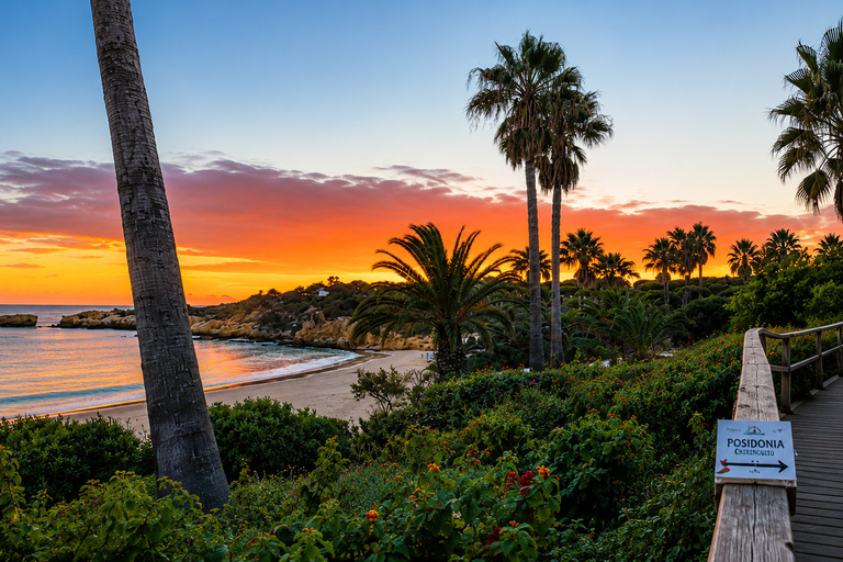 Albufeira: Hidden Beaches and Local Secrets Tuk Tuk Tour