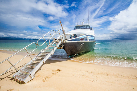 Cairns : plongée près d’une île de la Grande BarrièreVisite tout compris avec déjeuner buffet tropical