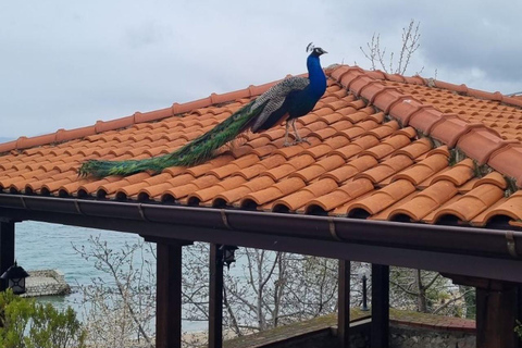 Ohrid: Lake Ohrid, St. Naum, & Pogradec Day Trip
