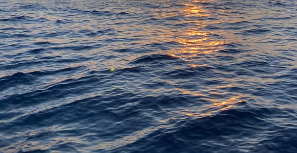 Delfin-Tour bei Sonnenuntergang ab Poreč – Privates Schnellboot, max. 8 Personen