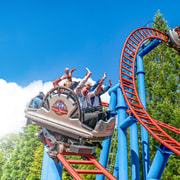 Alton Towers Resort: Entrance Ticket