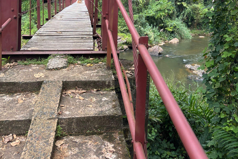 Colombo Galle to Sinharaja Rainforest day tour