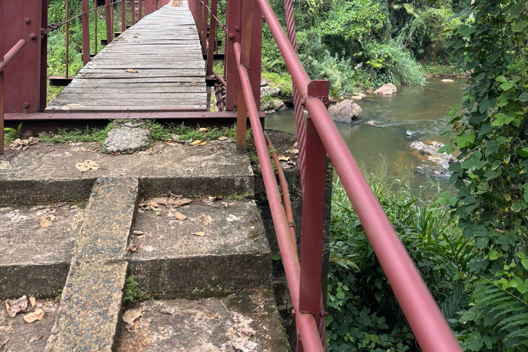 Colombo Galle to Sinharaja Rainforest day tour