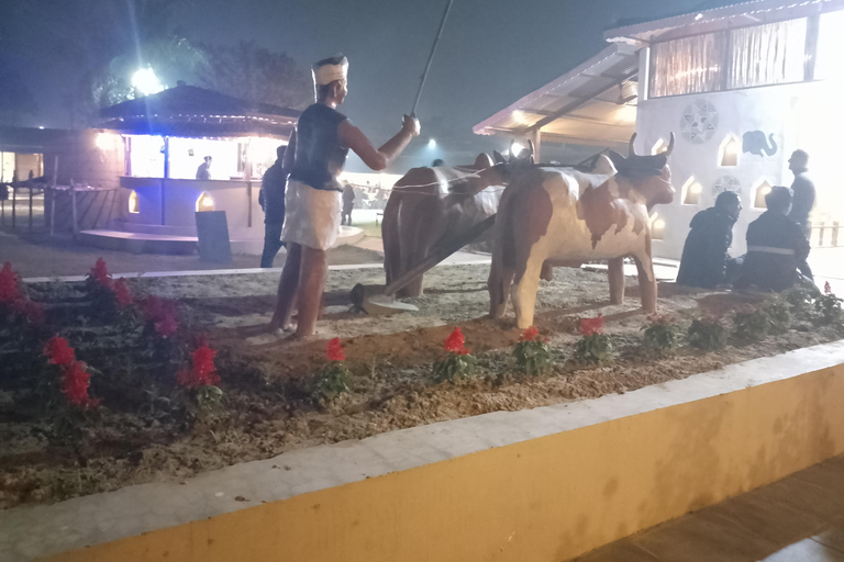 4 dias com uma noite de torre no Parque Nacional de Chitwan