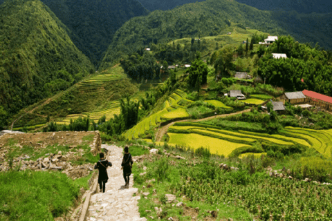 Hanoi: Sapa Transfer by VIP Sleeper BusFrom Sapa to Hanoi