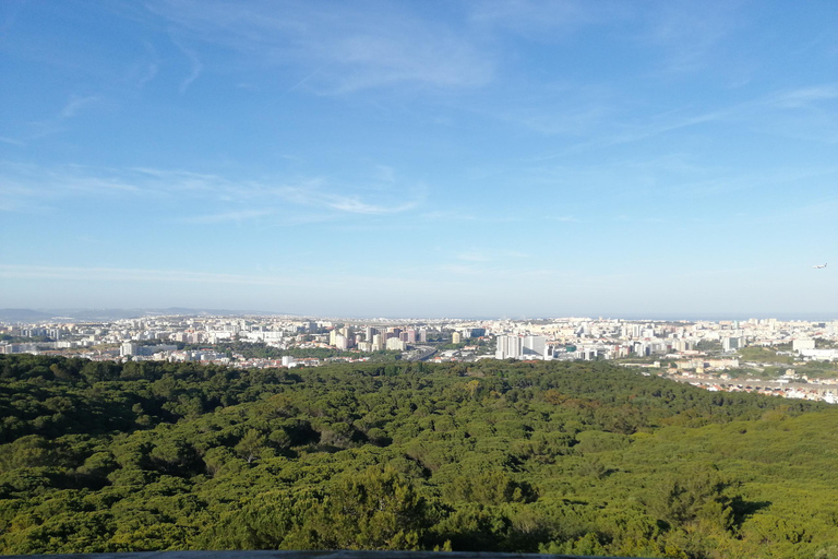 Porto / Lissabon Transfer mit Nazaré &amp; Óbidos