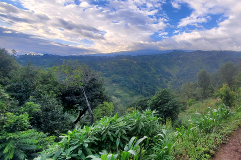 Wonderful Materuni waterfalls and Chemka hotspring Day trip