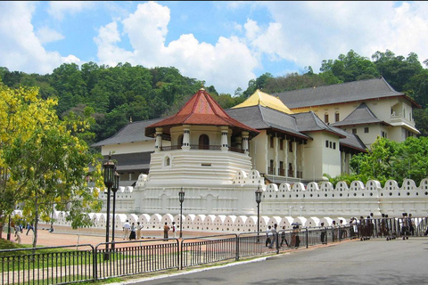 Explore Sri Lanka in 4 Days – Culture, Nature & Adventure