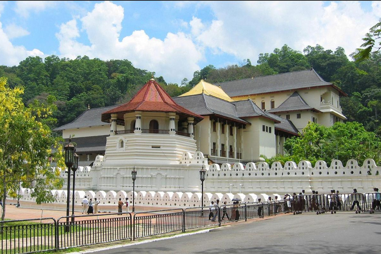 Explore Sri Lanka in 4 Days – Culture, Nature & Adventure