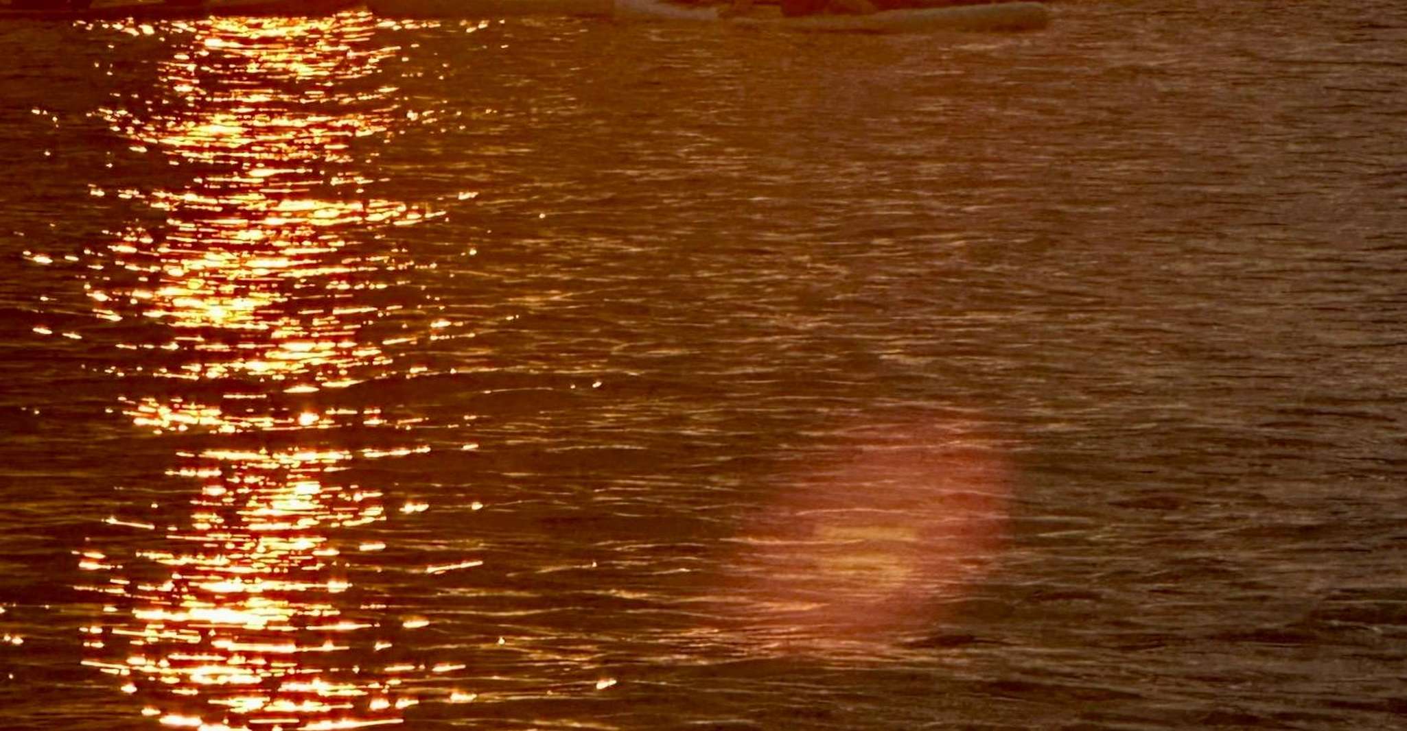 Barcelona: Paddleboarding at Sunrise. Includes: instructor, photos, equipment photo 5