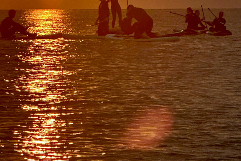 برشلونة: لوح التجديف عند شروق الشمس. تشمل: المعلم، والصور/مقاطع الفيديو، والمواد، والمعدات.