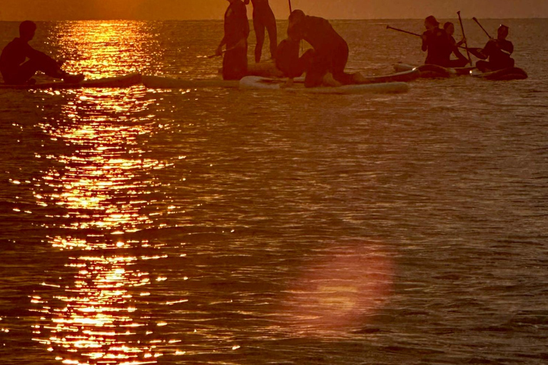برشلونة: لوح التجديف عند شروق الشمس. تشمل: المعلم، والصور/مقاطع الفيديو، والمواد، والمعدات.
