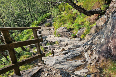 Fort William: Steall Falls and Nevis Gorge Guided Hike
