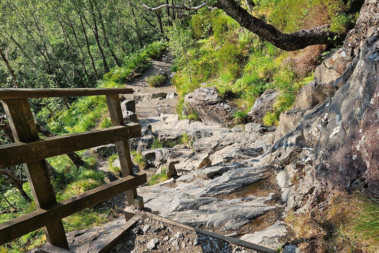 Fort William: Steall Falls and Nevis Gorge Guided Hike