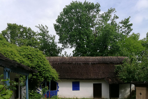 Visita panorâmica de Bucareste com três paragens e duas visitas.