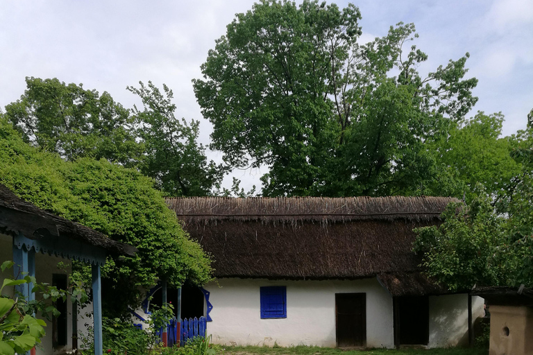 Visita panorâmica de Bucareste com três paragens e duas visitas.