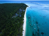 Zanzibar, billet de ferry de Dar es Salaam avec transfert 1way - Hizvo