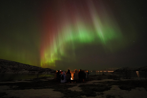 Tromsø: Northern Lights Tour – Unlimited Chase & Free Photos 6-8 Hours, Aurora chase, Comfortable bus, Photos included