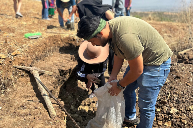 Oaxaca: Artisan Clay Pottery Workshop w/Breakfast and Brunch