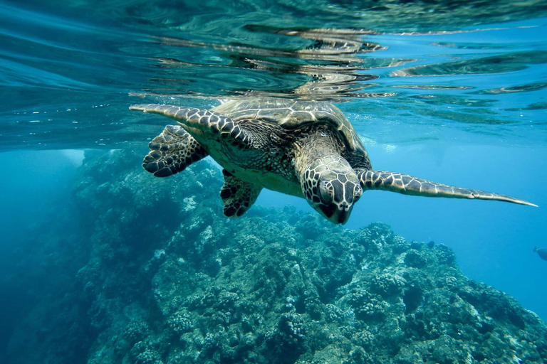 From Protaras: Glass Bottom Cape Greco & Blue Lagoon Cruise
