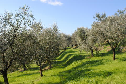 Soap, Wine, Raki, Olive Oil, Meet the local Producers Tour Morning Tour