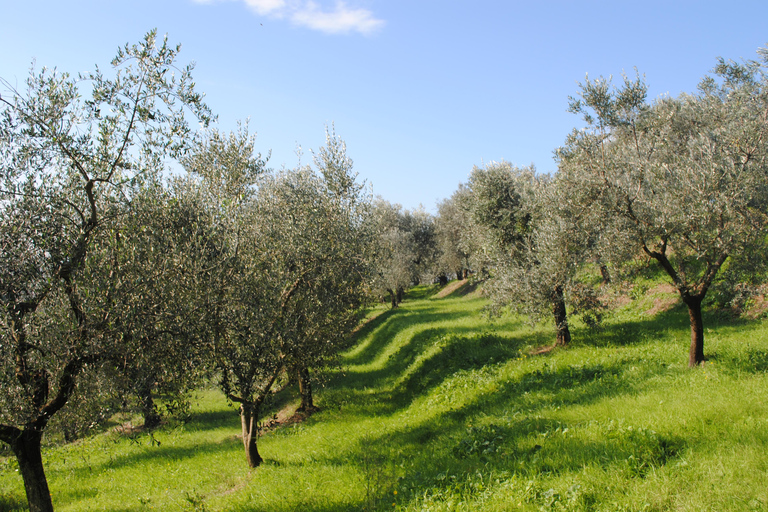 Soap, Wine, Raki, Olive Oil, Meet the local Producers Tour Morning Tour