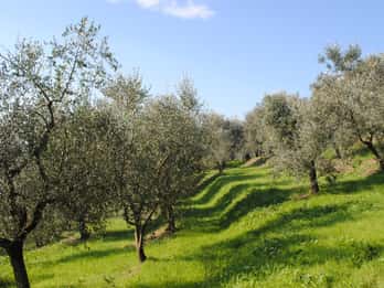 Creta: Puesta de Sol y Ruta de los Sabores de Creta en la Campiña