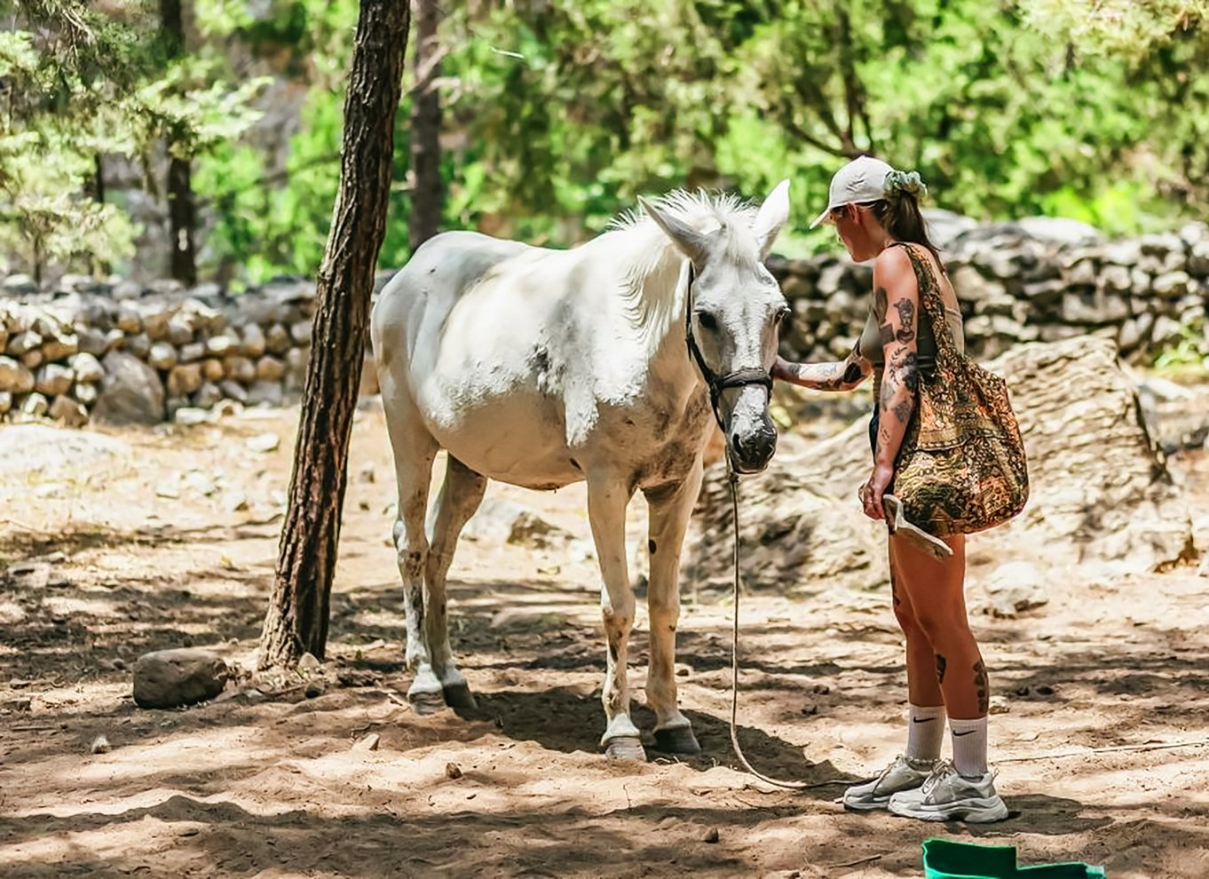 Fra Chania: Heldagsudflugt i Samaria-kløften med guide