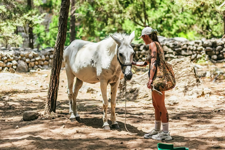 De Chania: Caminhada de 1 Dia à Garganta de SamariáDe Kalyves ou Almyrida