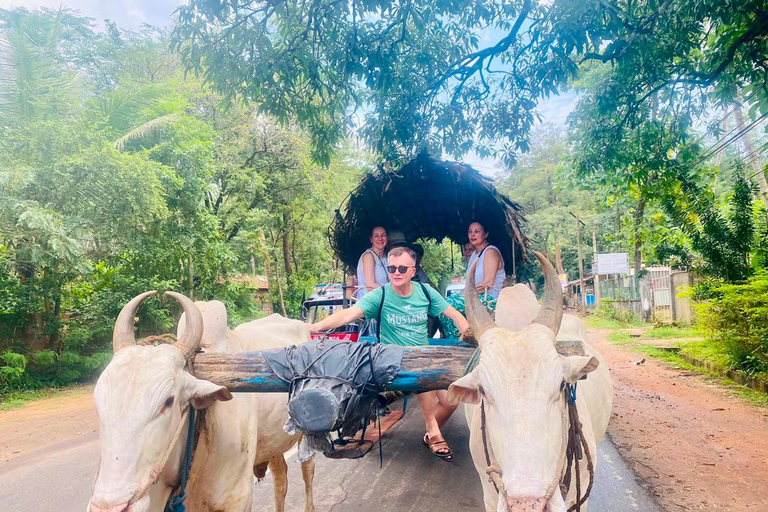 Sri Lanka: Full-Day Cultural Experience with Guide
