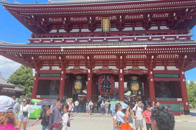 Tokyo: Private City Highlights Tour