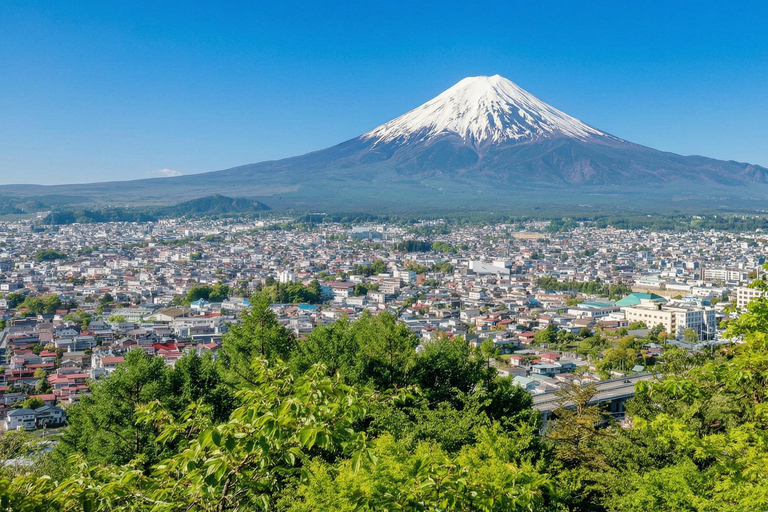 Mt. Fuji & Hakone Tour: Arakurayama, OshinoHakkai, Owakudani Tokyo Station | 7:30 AM Departure with English Guide