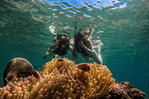 كوه تاو: كوه نانغيوان ورحلة الخلجان المخفية بواسطة الأكسجينرحلة بعد الظهر