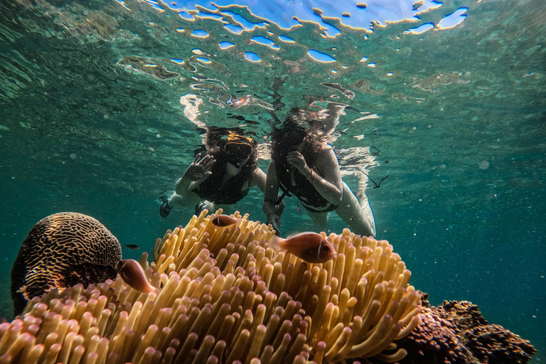 كوه تاو: كوه نانغيوان ورحلة الخلجان المخفية بواسطة الأكسجينرحلة بعد الظهر