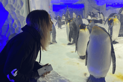 2026年オークランド地方の水族館ベストツアー - 無料キャンセル