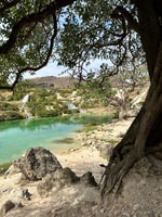 Salalah, visita guiada a medio día a Wadi Darbat y Mount Samhan - Housity