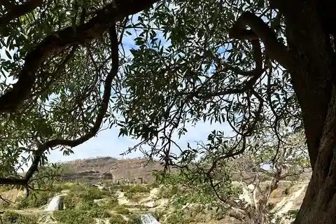 Salalah: una combinazione di Oriente e Occidente