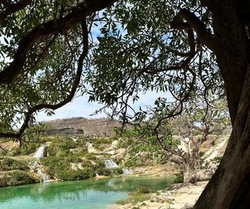 Salalah: una combinazione di Oriente e Occidente