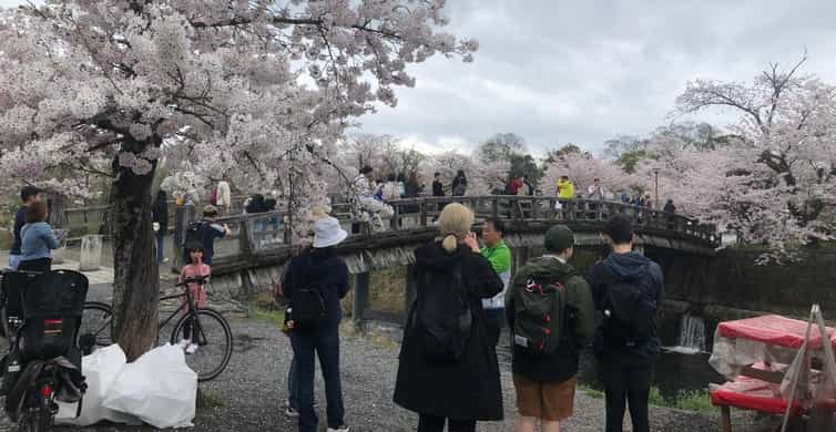 Kyoto: Memory Kyoto E-Bike Tour photo 7