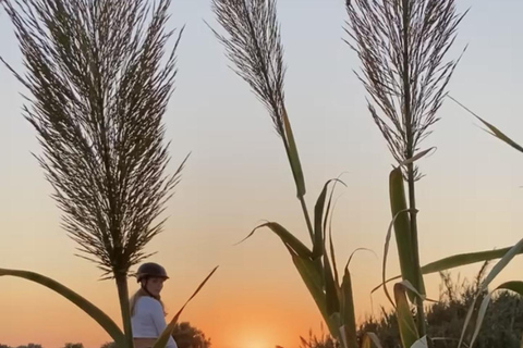 جزيرة رودس: ركوب الخيل على الشاطئ عند غروب الشمس