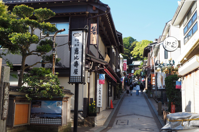 Tokyo: Enoshima, Kamakura, & Yokohama Tour (Enoden Included) Kamakura Y, from Shinjuku