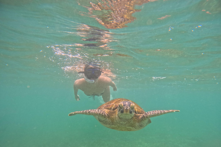 Mirissa Snorkeling Tour with Turtle Adventure and Free Video