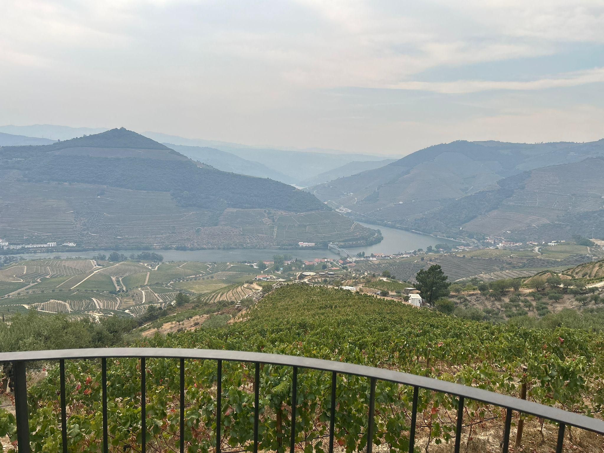 Private Weingut-Tour von Porto ins Douro-Tal (GRUPPE)